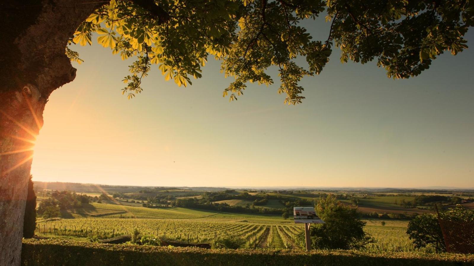 Domaine De La Monestarie - Teritoria Hotel Bernac  ภายนอก รูปภาพ